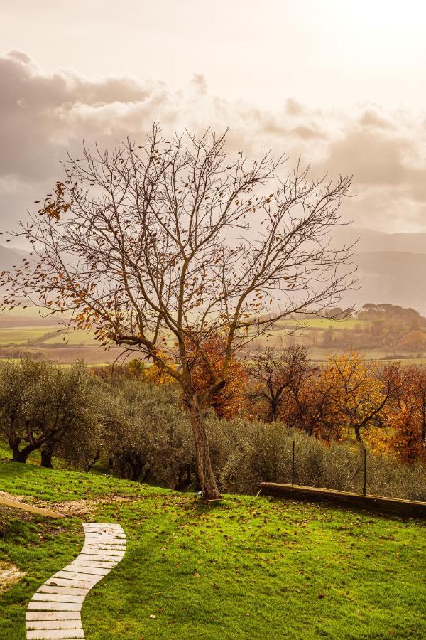 Olio Su Tela Bed & Breakfast Paliano Exterior photo